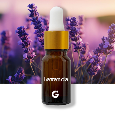 Lavanda