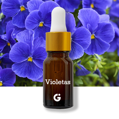 Violetas