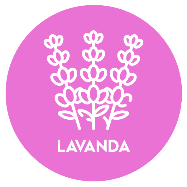 Multiusos lavanda