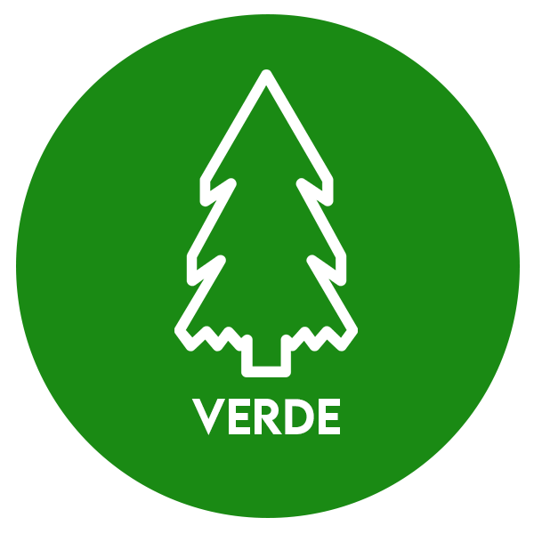 Pino verde